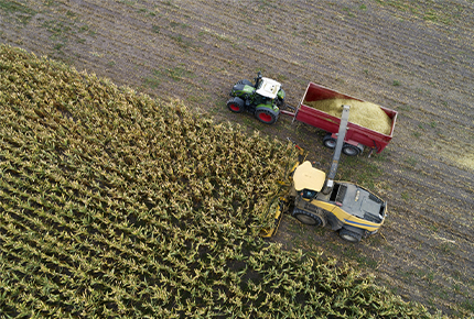 Crescita Agri: finanziamento per produzione e trasformazione dei cereali